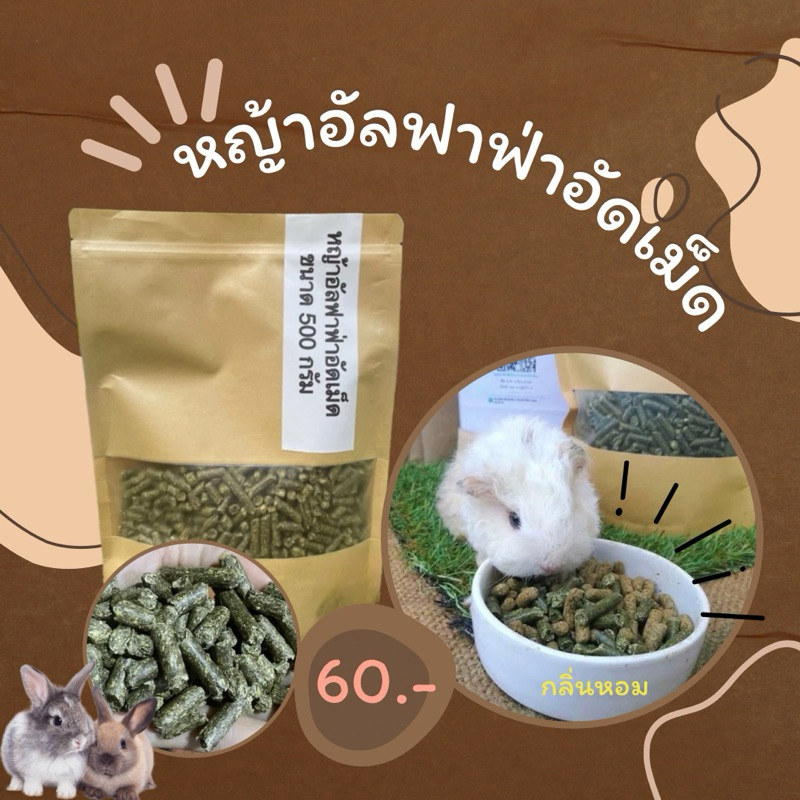 อัลฟาฟ่าอัดเม็ด100%หญ้าล้วนสำหรับลูกกระต่ายลูกแกสบี้