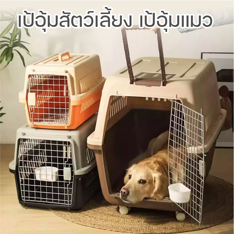 กรงหิ้ว/กรงเดินทางสัตว์เลี้ยง สำหรับสุนัขและแมว (มี 2 ไซส์) แถมตะแกรงรอง