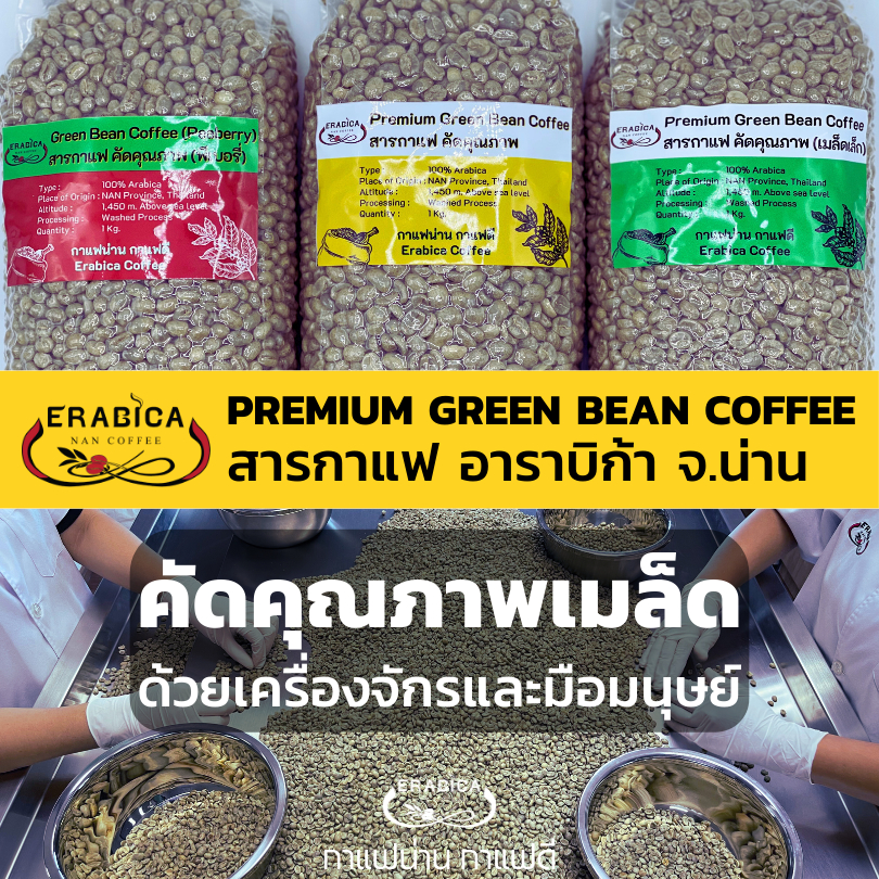 สารกาแฟ อาราบิก้า 100% จ.น่าน คัดเมล็ดอย่างดี มีให้เลือกประเภทเมล็ด Erabica Coffee กาแฟน่าน กาแฟดี