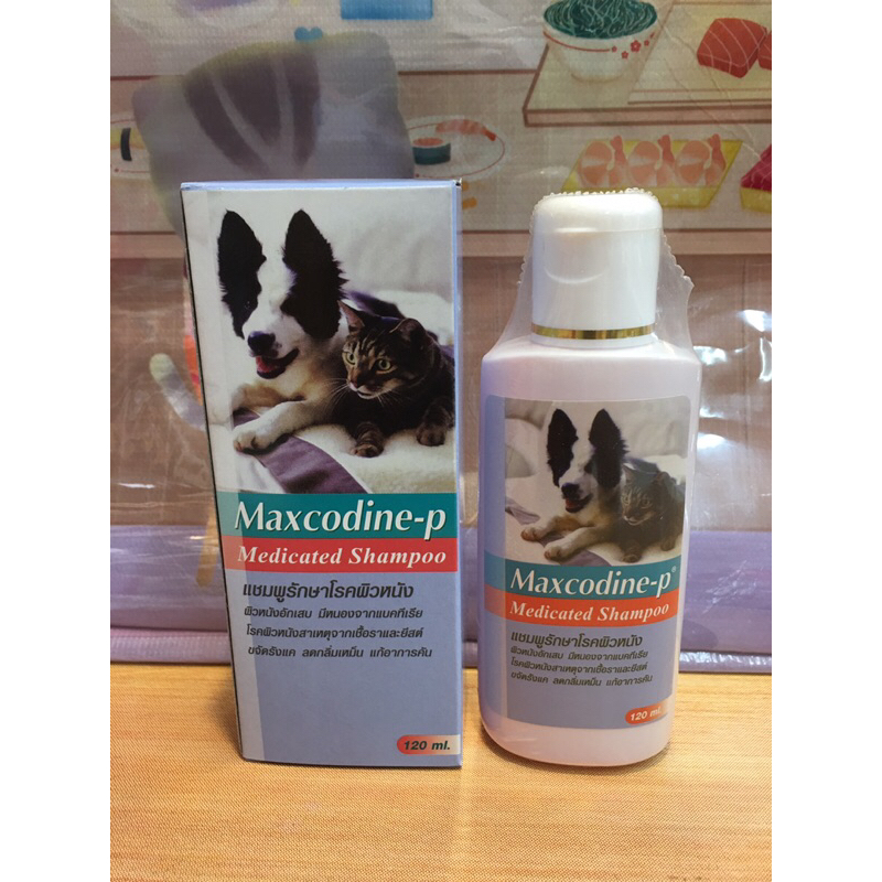 แชมพูรักษา Maxcodine-pโรคผิวหนังสำหรับสุนัขและแมว ผิวหนังอักเสบมีหนองจากเชื้อแบคทีเรียเชื้อรา-ยีส-ขจัดรังแคลดกลิ่นแก้คัน