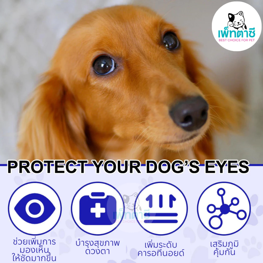Oimmal Eye Care ดูแลสุขภาพตาสุนัข สูตรเม็ด ลดคราบน้ำตา บำรุงสายตา สายตาเสื่อมตามวัย วิตามินสุนัข thumbnail 6
