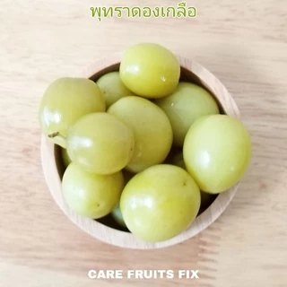 พุทรานมสด ดองเกลือ แพ็คถุง 300 g.(กรัม),500 g.(กรัม) และ 1kg.(กิโลกรม) แถมฟรีพริกเกลือ ราคาถูก แพคอย่างดี (ผลไม้ดอง)