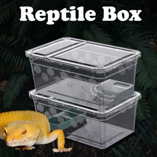 Reptile Box H9 H10 กล่องเลี้ยงสัตว์เล็ก สัตว์เลื้อยคลาน สัตว…