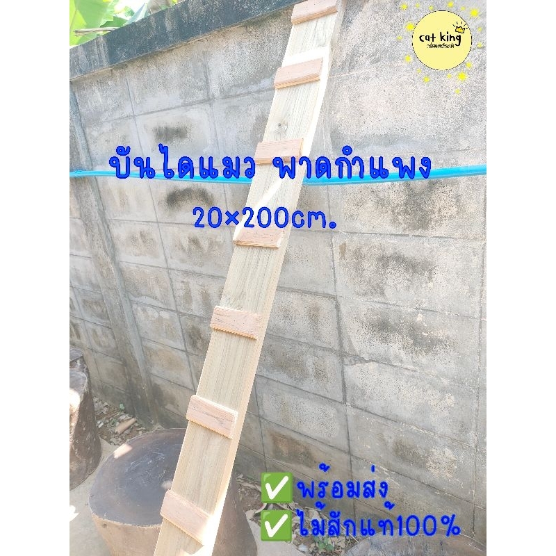 บันไดเเมว พาดกำแพง  กล่องแมวติดผนัง ขนาด20×200cm