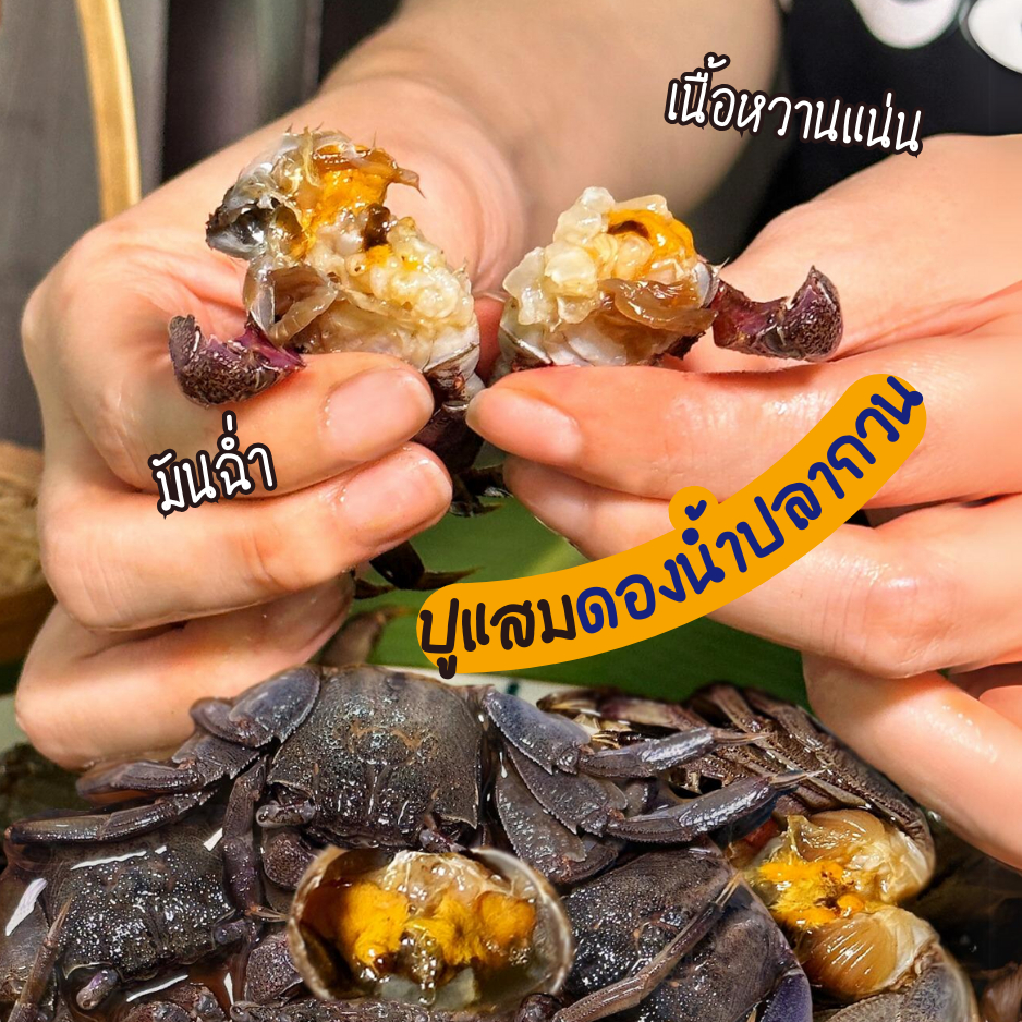 สินค้าใหม่ ปูแสม ดอง น้ำปลากวน เนื้อหวาน มีมัน อร่อยที่สุด ปลอดสาร หนัก 700 กรัม