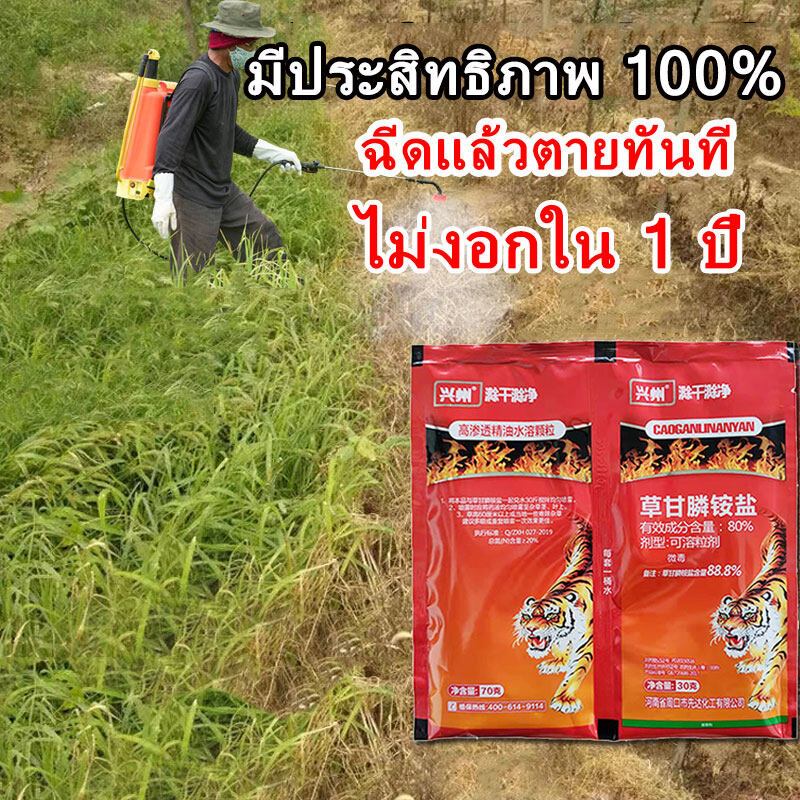 สารกำจัดวัชพืช ยาฆ่าหญ้าเผาไหม้ ไม่งอกใน1ปี มีประสิทธิภาพ วัชพืชไม่มีอีก ไกลโฟเสต 88%1 ถุง ผสมน้ำ 15-20 ลิตร วัชพืชสามาร