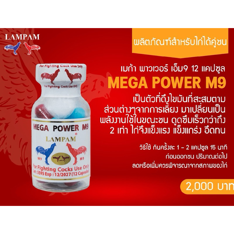 ลำปำ…อาหารสัตว์ปีกเมก้าเพาเวอร์เอ็ม9 ราคา ถูกที่สุด ดีลบีเคเค รูปภาพหลัก