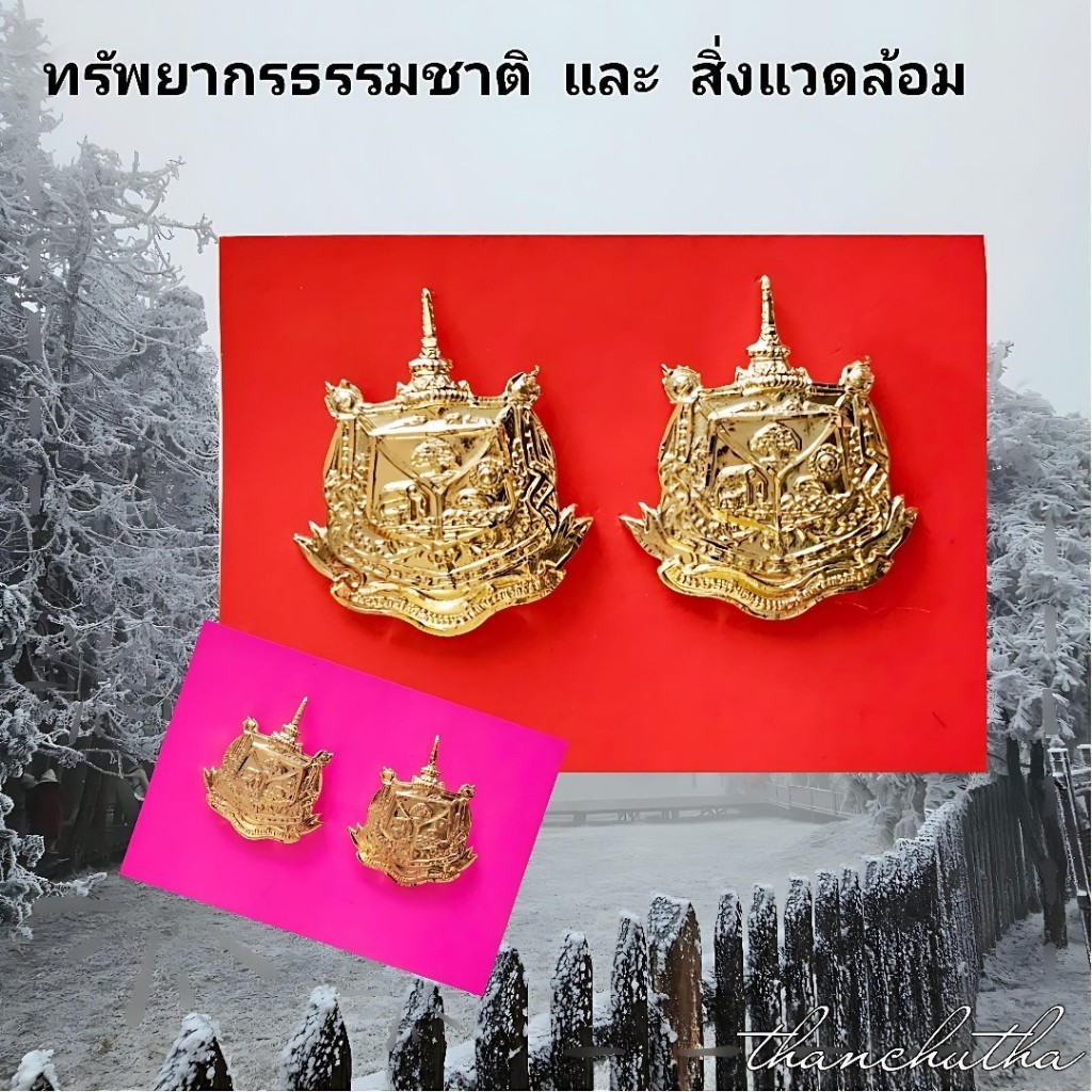 กนกคอ กระทรวงทรัพยากรธรรมชาติ และ สิงแวดล้อม แกะมือ ขาเข็ม