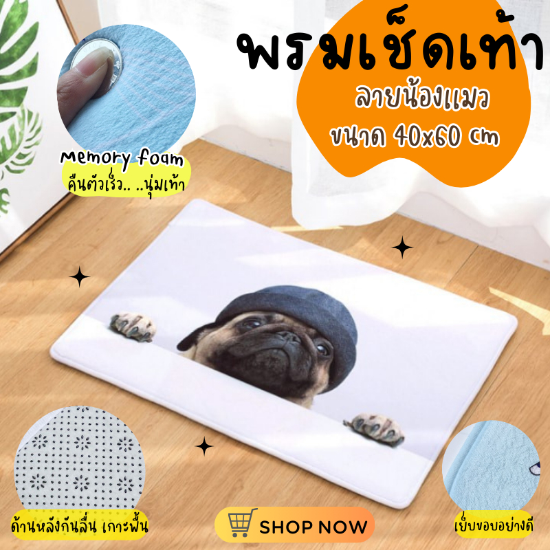 พรมเช็ดเท้า ลายน้องหมาปั๊ก พรมเเต่งบ้าน พรมหมาปั๊ก(Pug) ขนาด 40 x 60 cm