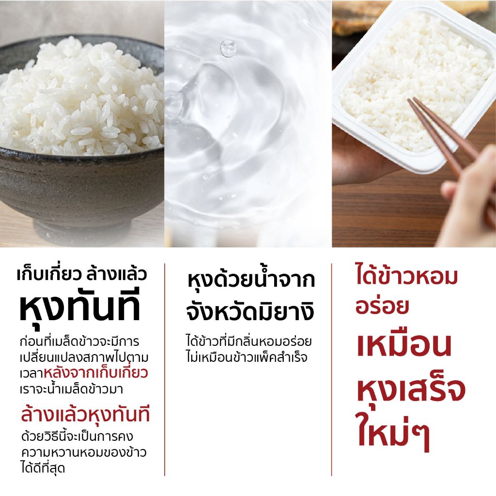 รูปภาพ 5