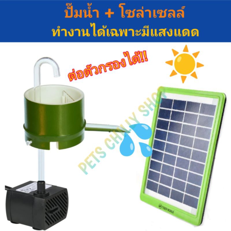 ปั๊มน้ำพุ โซล่าเซลล์ pump with solar cell