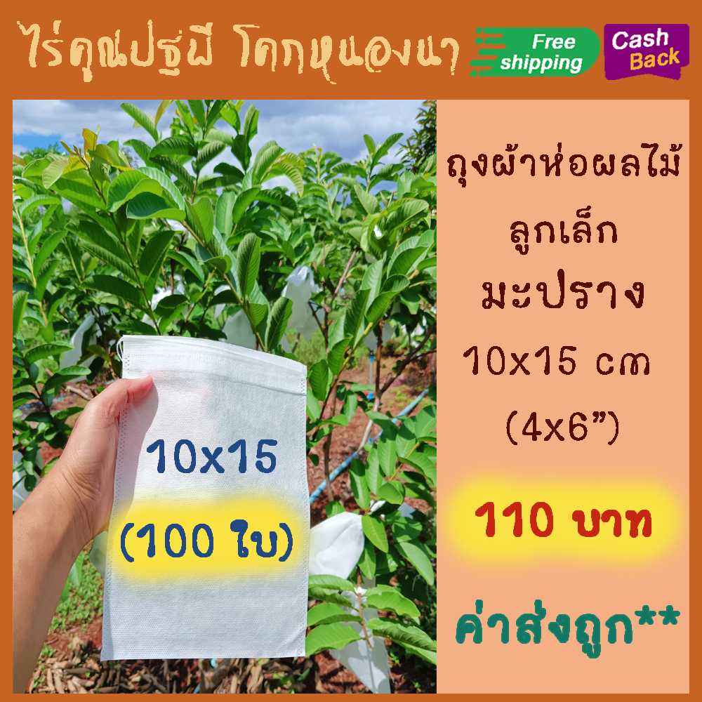 ไร่คูณปฐพี ถุงผ้า 4*6 นิ้ว, 10*15 cm(100 ใบ110 บาท) ห่อมะปราง มะยงชิด ถุงห่อผลไม้ ถุงผ้าสปันบอนด์ ใช้ซ้ำได้ ไอน้ำไม่เกาะ