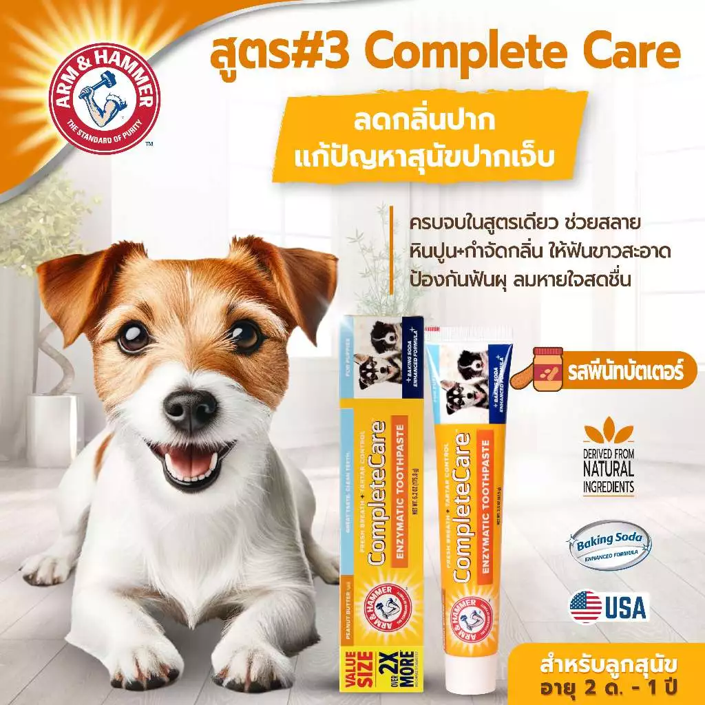 หมดอายุ 30/11/2026 Arm and Hammer ยาสีฟันลูกสุนัข รสเนยถั่ว จัมโบ้ไซส์ 175.8 ก.