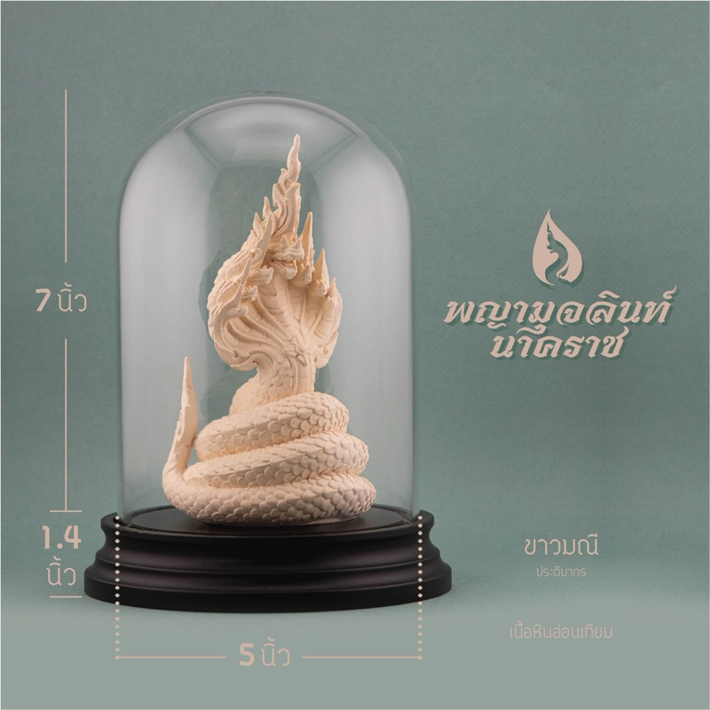 พญามุจลินท์นาคราช (พร้อมครอบแก้ว )