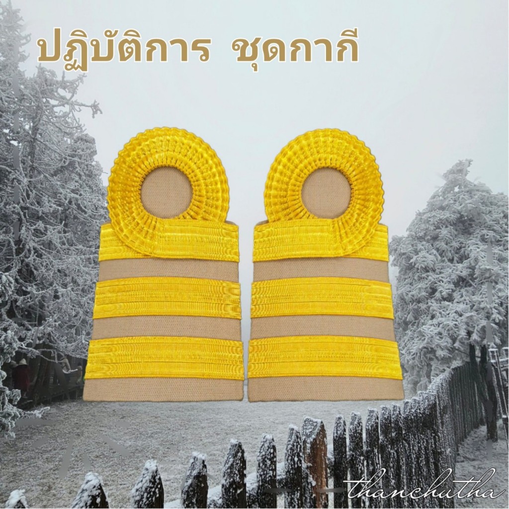 อินทรธนู ขีดปฏิบัติการ ชั้นเอก  ระดับ C5-6 ดิ้นอินเดีย