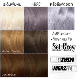 ขายดีมาก!🔥 ผมเทา เทาจริง เทายันฝาบ้าน (เเชมพูและครีมนวดสีเทา) เม็ดสีเข้มข้นกว่ายี่ห้อไหนๆถึง 10 เท่า ขนาด 500ml.