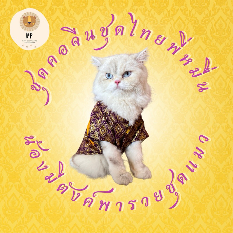 ชุดไทยคอจีนสำหรับสัตว์เลี้ยง สีใหม่ต้อนรับสงกรานต์ รหัสสินค้า B64 - B71