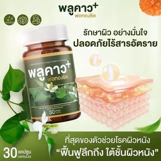 ส่งฟรี ทุกออเดอร์ Plukaow Plus พลูคาว พลัส พ่อหม่อชิด วิตามินเสริมภูมิคุ้มกัน ดูแลผิวหนัง ผดผื่น ฟื้นฟูเซลล์ผิว