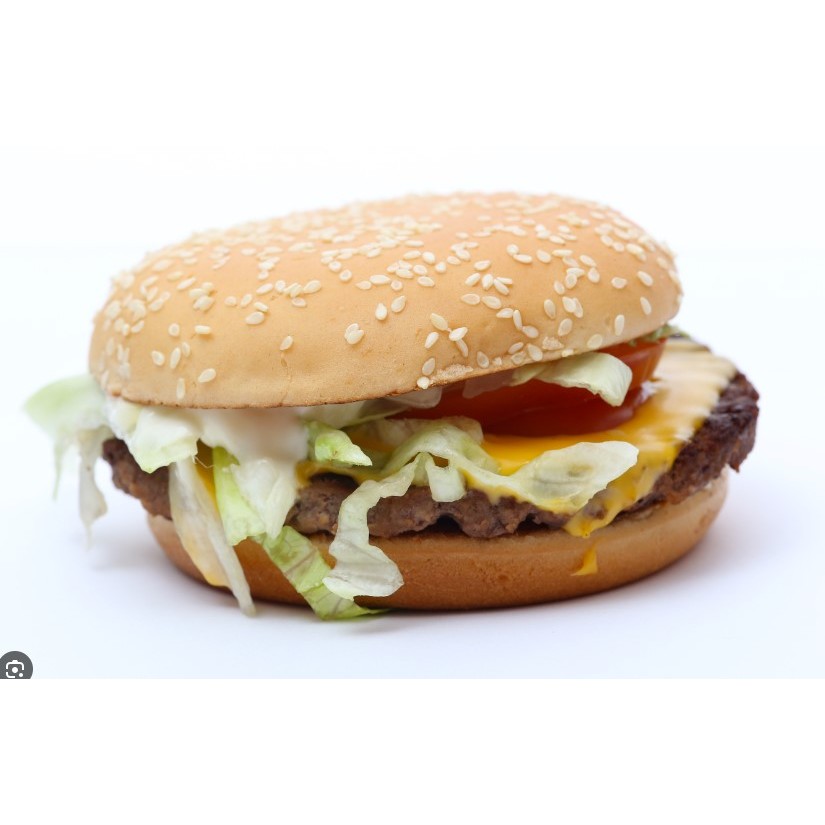 burger test non rr cat