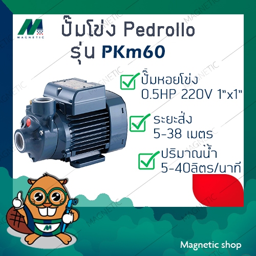 ปั๊มน้ำใบพัดเฟือง Pedrollo รุ่น PKM 60
