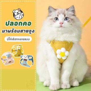 สื้อรัดอก พร้อมสายจูง เกรดพรีเมี่ยมS/M/L/XL สายจูง สายจูงสัตว์เลี้ยง เสื้อหมา เสื้อแมว สายจูงแมว VP