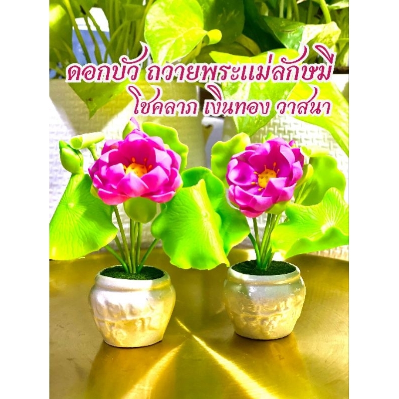 ดอกบัวถวายพระแม่ลักษมี ดอกบัวดิน ดอกบัวดินปั้น แจกัน ดอกบัวดินปั้น ราคาต่ออัน