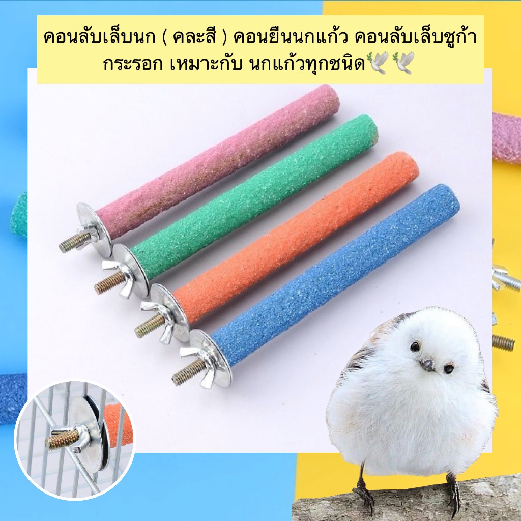 PP-894 คอนลับเล็บอเนกประสงค์( คละสี 1 ชิ้น )ช่วยลับเล็บอย่างอ่อนโยน เหมาะกับนกแก้วทุกสายพันธุ์ สีสันสดใส คละสี พร้อมส่ง