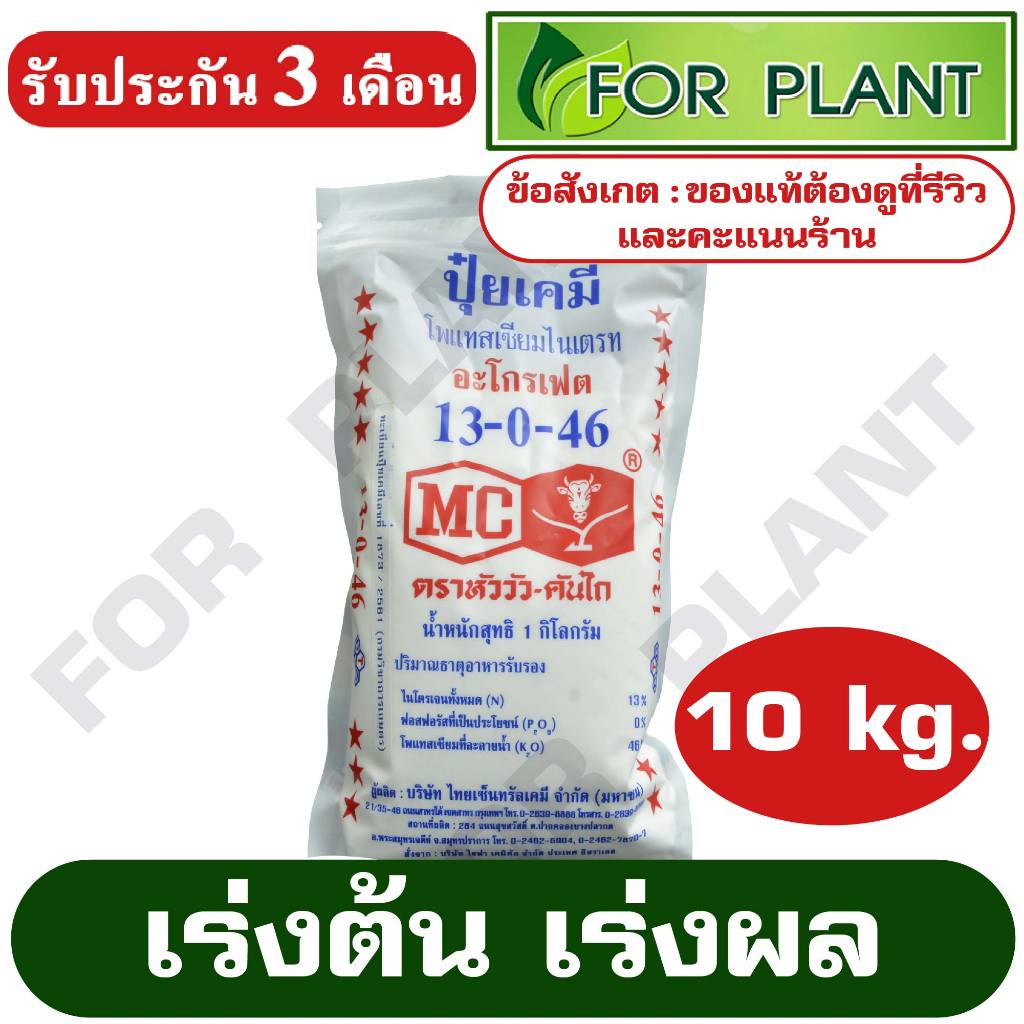 ปุ๋ย สูตร 13-0-46 ตราหัววัว ปุ๋ยเกร็ด สำหรับผสมน้ำ ฉีด พ่น บรรจุ 10 กิโลกรัม (สินค้าตรงปก)