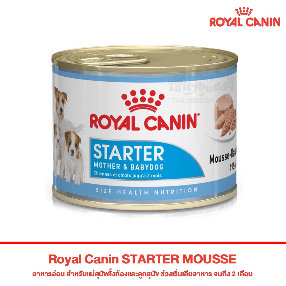 ((  12 กป. exp.06/2027)) Royal canin Mother&Babycat แบบกระป๋อง อาหารเปียก แบบเนื้อมูส