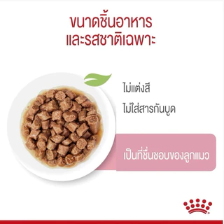 [ 1โหล ] Royal Canin อาหารแมวชนิด เปียก KITTEN จำนวน 1 โหล [เลือกชนิดเนื้อสัมผัสได้]