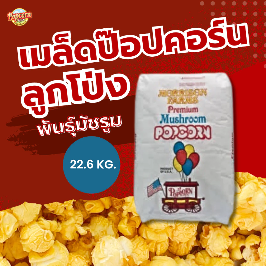 เมล็ดป๊อปคอร์นมัชรูม ตราลูกโป่ง ยกกระสอบ 22.6 KG. นำเข้าจากอเมริกา