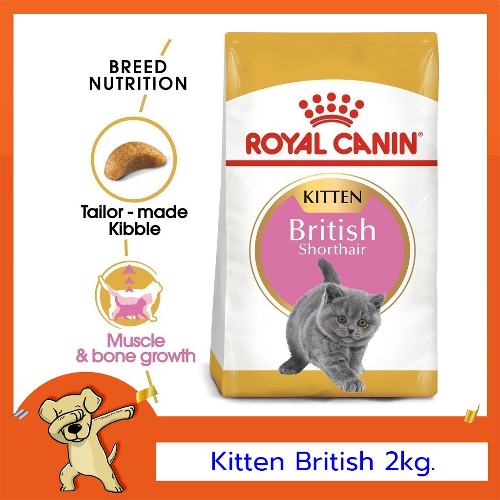 [Cheaper] Royal Canin British Shorthair Kitten 2kg อาหารแมว โรยัลคานิน ลูกแมว บริติช ชอร์ตแฮร์