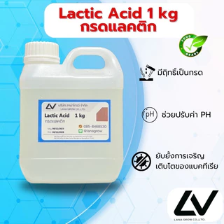 Lactic Acid :กรดแลคติก 1 kg