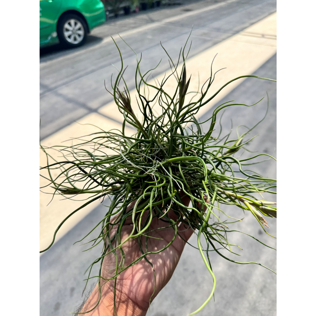 มุมมอง 3