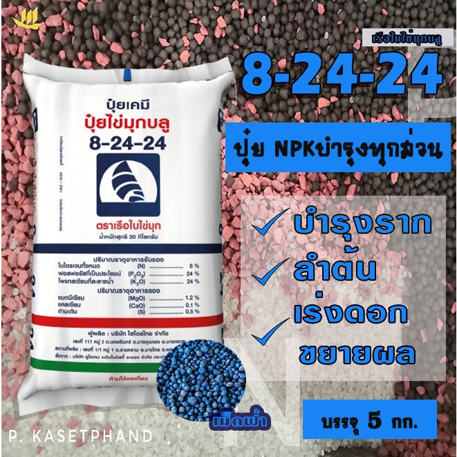 8-24-24 เรือใบ ไข่มุก (เม็ดฟ้า) แบ่งบรรจุ 5 Kg. ปุ๋ยNPK ฟอสฟอรัส-โพแทสเซียมสูง เน้นบำรุงลำต้น สะสมอาหาร เร่งดอก ขยายผล