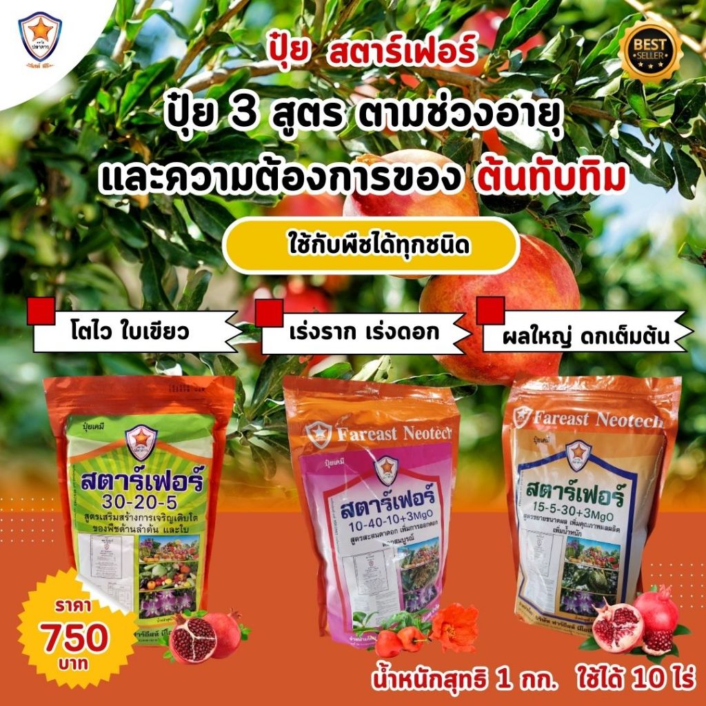 ทับทิม โตไว ใบเขียว เร่งราก เร่งดอก ขยายขนาด ผลใหญ่ ผลดก เพิ่มน้ำหนัก เพิ่มคุณภาพ ผลผลิต ด้วย ปุ๋ย สตาร์เฟอร์