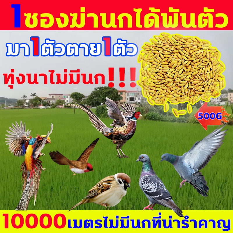 1ซองฆ่านกได้พันตัวยาเบื่อนก 500g กำจัดนก ผลิตจากธัญพืชที่นกชอบกิน  เหยื่อกำจัดนกพิราบ เครื่องไล่นก ยาเบื่อนกพิราบ