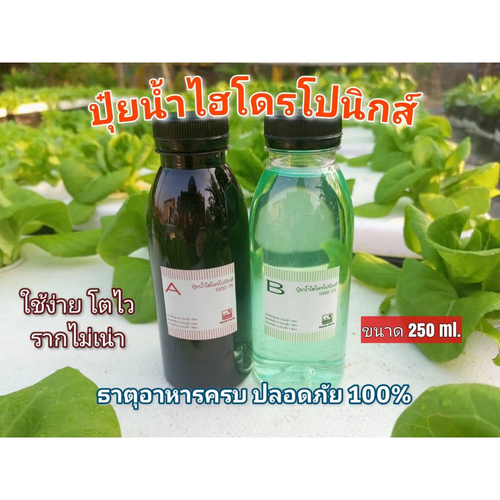 ปุ๋ยAB ไฮโดรโปนิกส์ ขนาด 250มล. (1ชุด A1ขวด+B1ขวด)