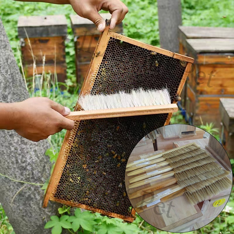 แปรงปัดผึ้ง แปรงขนม้า สำหรับเลี้ยงผึ้ง ทำความสะอาดผึ้ง beekeeping อุปกรณ์สำหรับเลี้ยงผึ้ง แปรงไม้กวาดน้ําผึ้ง สองแถว สํา