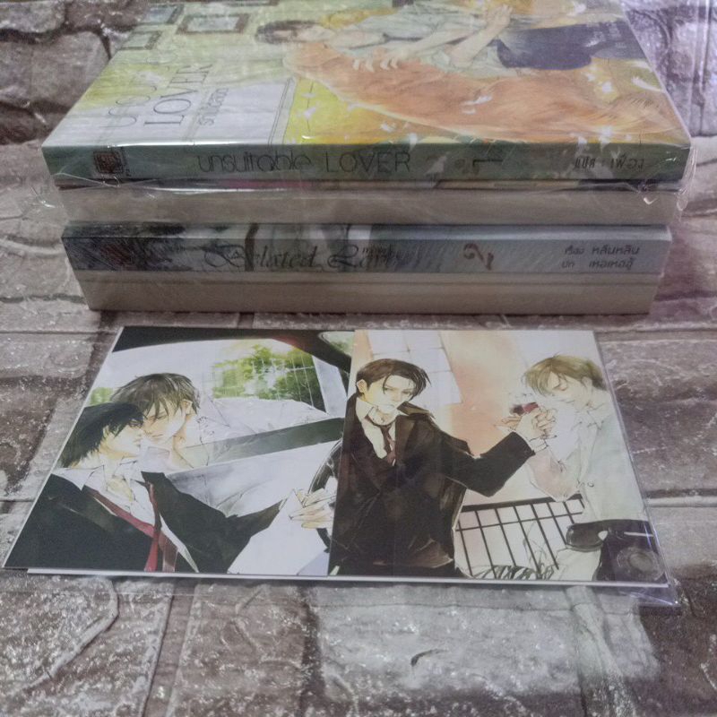 Belated Love กว่าจะรู้ว่ารัก + เล่มพิเศษ + โปสการ์ด ปกใหม่ Unsuitable Lover รักไม่ได้ลิขิต + ตอนพิเศษ (ชุดสะสม) funovels