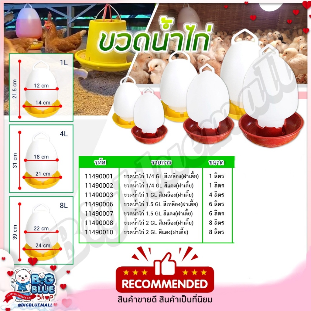 bigbluemall ขวดน้ำไก่ ถังน้ำไก่ ที่ใส่น้ำสำหรับเลี้ยงไก่ กระติกน้ำไก่ เลี้ยงไก่ ขวดน้ำนก เลี้ยงนก 1L 4L 8L เหลือง