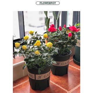 ~พร้อมส่งที่ไทย~ “กระถางปลูกต้นไม้ทรงมาตรฐาน​ รุ่นพิมพ์ลาย Gardening”