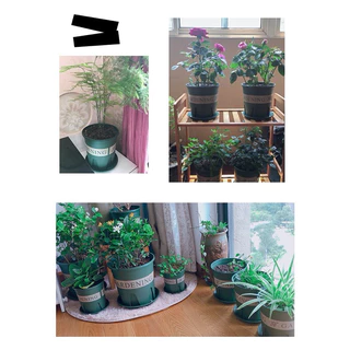~พร้อมส่งที่ไทย~ “กระถางปลูกต้นไม้ทรงมาตรฐาน​ รุ่นพิมพ์ลาย Gardening”