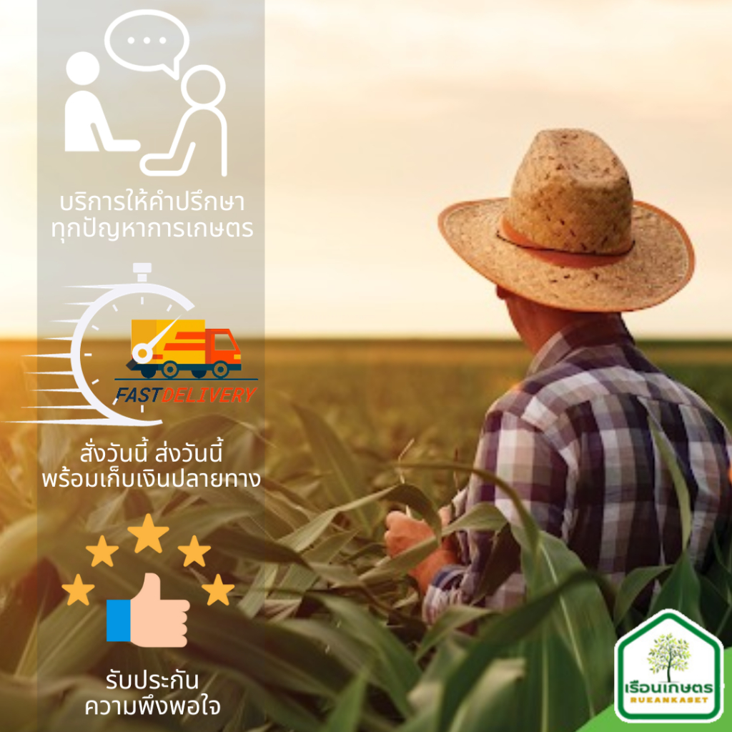 ครอปแคล (แคลเซียม-โบรอน) นูตร้าครอป ช่วยให้ขั้วเหนียว ลดการหลุดร่วงของขั้ว ของแท้100% ขนาด 5 ลิตร - รูปที่ 3