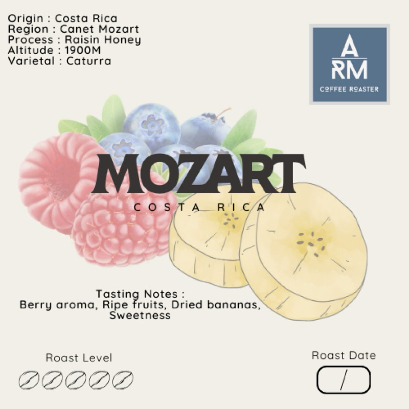 Costa Rica Canet Mozart เมล็ดกาเเฟคอสตาริก้าคั่วอ่อน