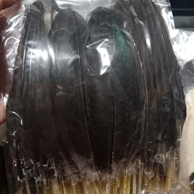 สีดำ [ใช้โค๊ดส่วนลดได้-ส่งฟรี ] ปีกไก่ชนสวยๆ  1 ชุด=12+12 เส้น
