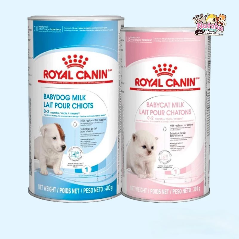 Royal canin Milk นมผงโรยัลคานิน นมผงทดเเทนสำหรับสัตว์เลี้ยงเเรกเกิดถึงโตเต็มวัย