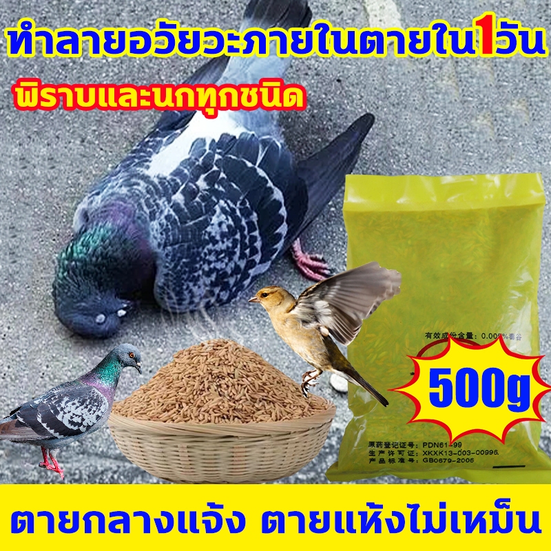 ยาเบื่อนก กำจัดกำจำนกทั่วไป นกพิราบ นกกระจอก นกกระจิบ นกขนาดเล็ก ยาเบื่อนกพิราบ กันฝน กันแดด เหยื่อกำจัดนกพิราบ ยากำจัดน