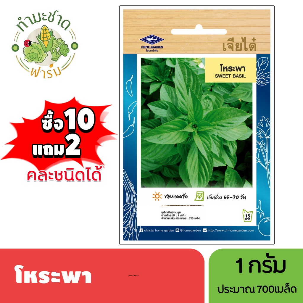 เจียไต๋ (ซื้อ10แถม2) เมล็ดพันธุ์ โหระพา ขนาด1กรัม ประมาณ750เมล็ด Sweet Basil โหระพา เมล็ดพันธุ์พืช เมล็ดผัก ปลูกผักสวนคร – โปรปัง