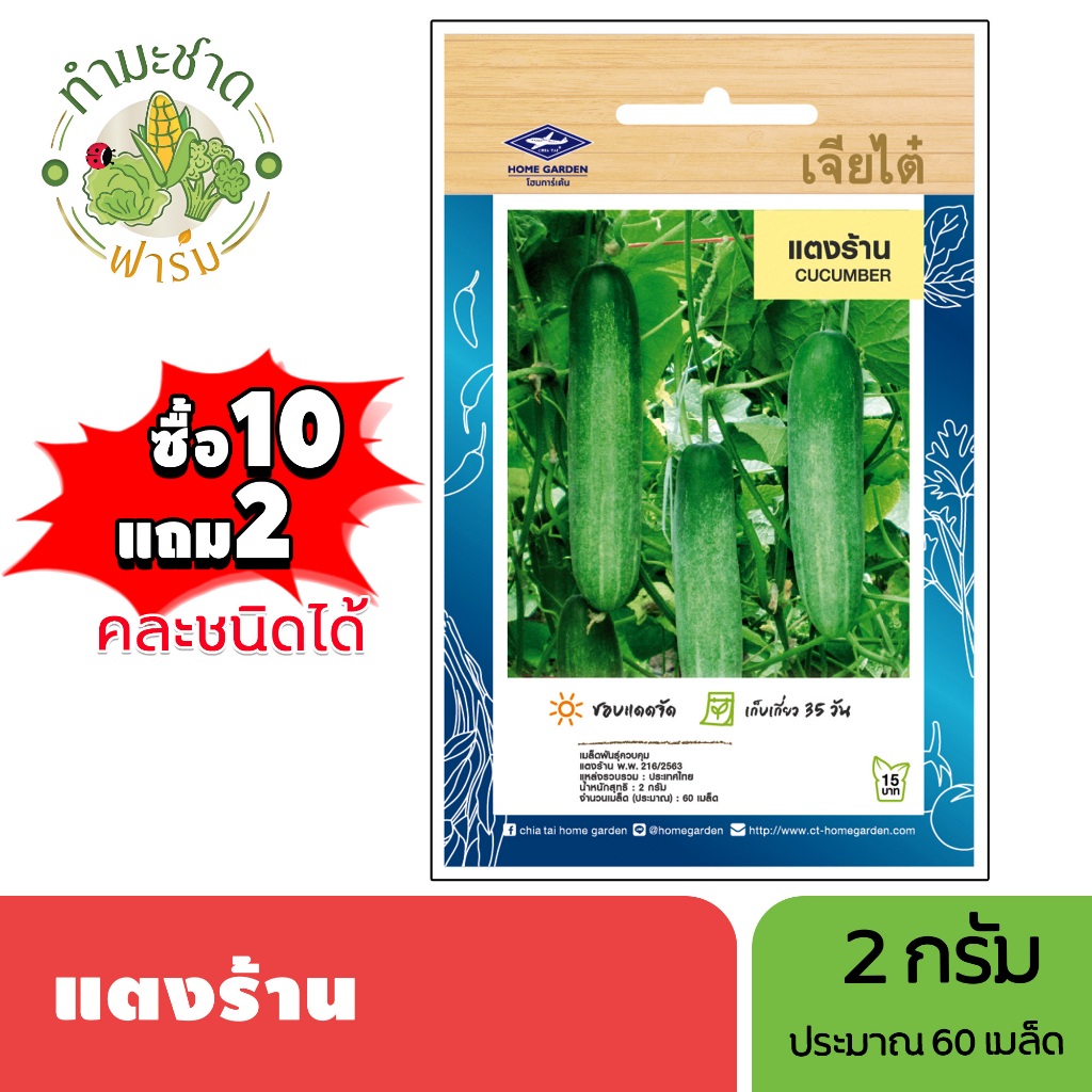 เจียไต๋ (ซื้อ10แถม2) เมล็ดพันธุ์ แตงร้าน ขนาด2กรัม ประมาณ60เมล็ด Cucumber แตง เมล็ดพันธุ์พืช เมล็ดผัก ปลูกผักสวนครัว